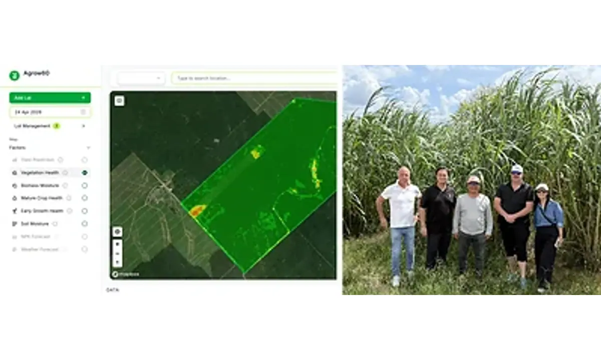 Satellite field map and project team in a biomass crop field